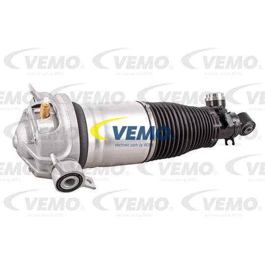 V10-50-0003 - Air Spring Strut 