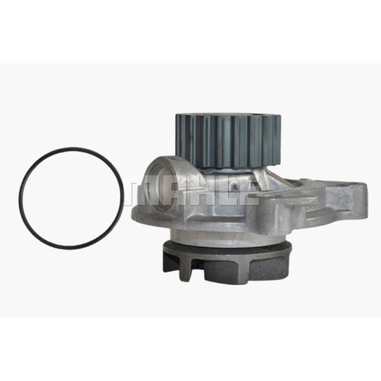 CP 31 000P - Water Pump 