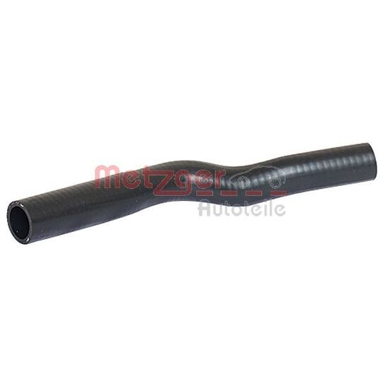 2420041 - Radiator Hose 