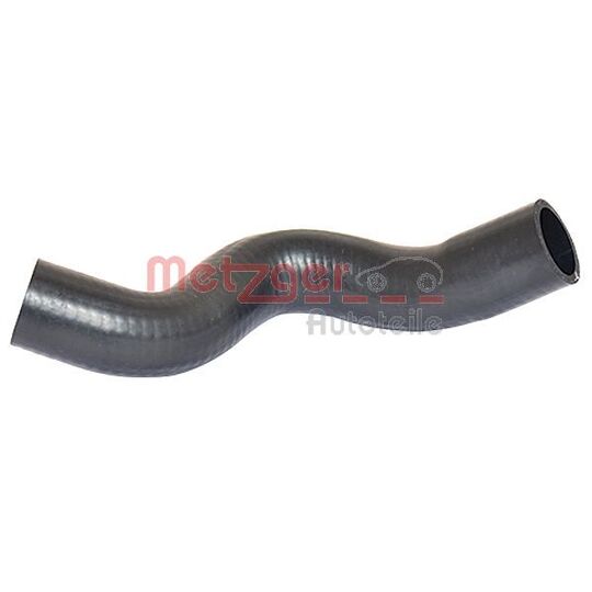 2420144 - Radiator Hose 