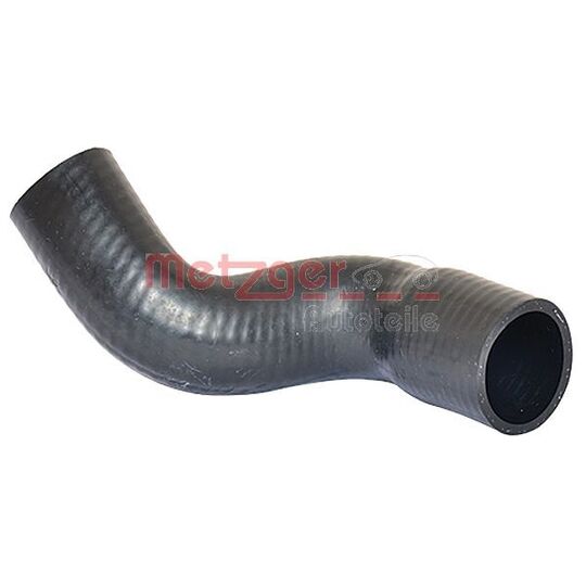 2420154 - Radiator Hose 