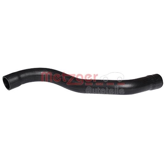 2420146 - Radiator Hose 