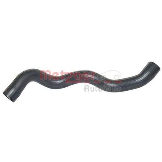 2420149 - Radiator Hose 