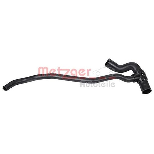 2420163 - Radiator Hose 