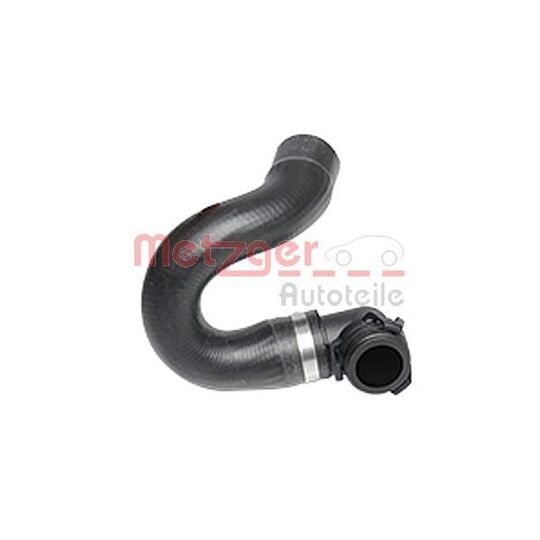 2420206 - Radiator Hose 