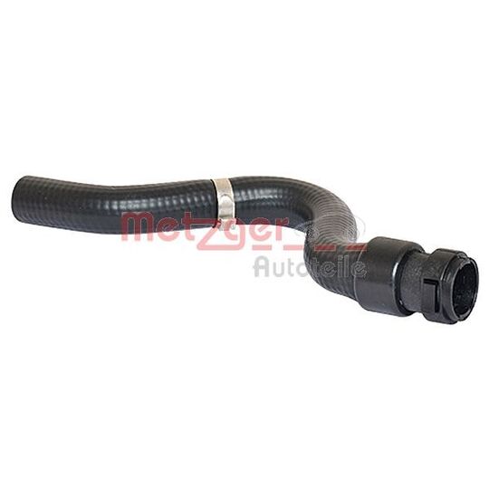 2420379 - Radiator Hose 