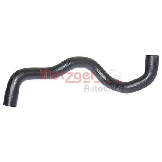 2420425 - Radiator Hose 