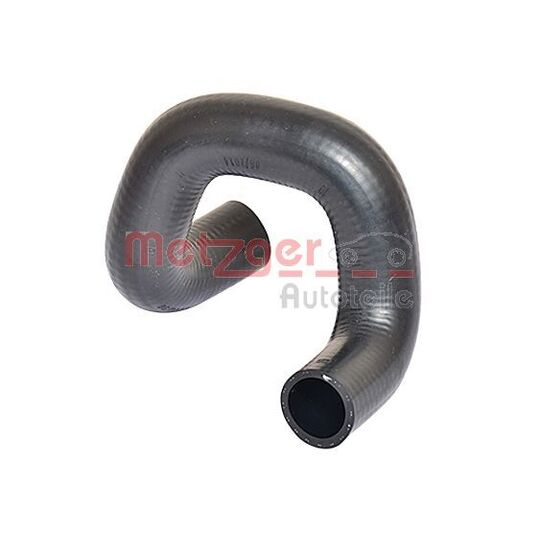 2420709 - Radiator Hose 