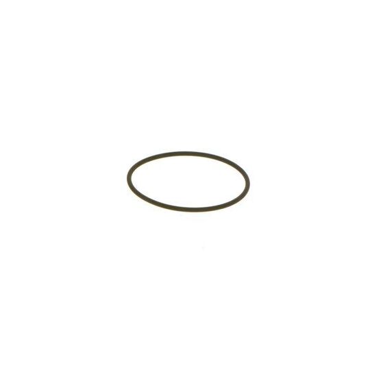 1 460 C15 010 - Seal Ring 