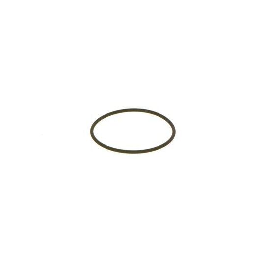 1 460 C15 010 - Seal Ring 