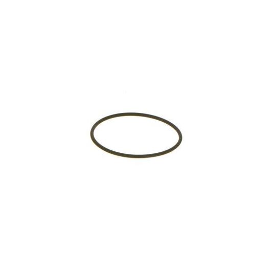 1 460 C15 010 - Seal Ring 