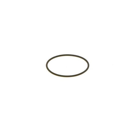 1 460 C15 010 - Seal Ring 