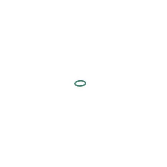 1 928 300 719 - Rubber Ring 