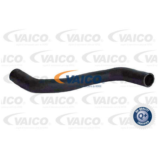 V25-1216 - Radiator Hose 