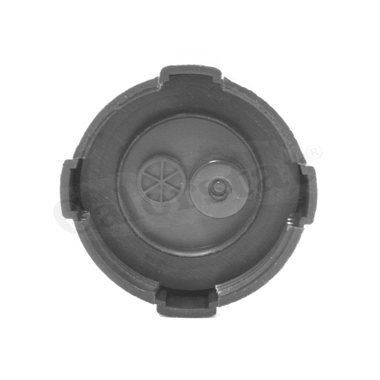 RC0001 - Sealing Cap, coolant tank 