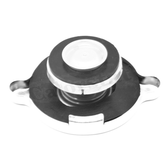 RC0059 - Sealing Cap, radiator 