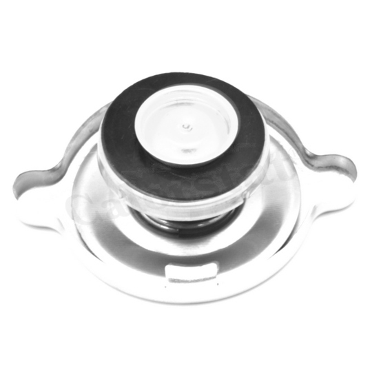 RC0067 - Sealing Cap, radiator 