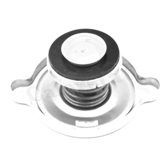 RC0073 - Sealing Cap, radiator 