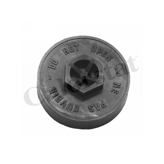 RC0195 - Sealing Cap, coolant tank 