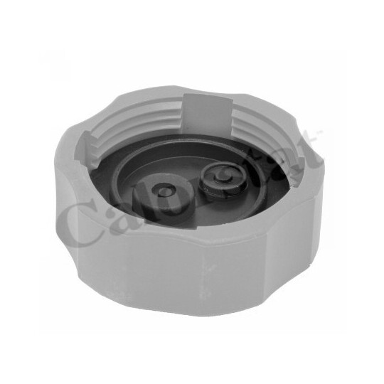 RC0190 - Sealing Cap, coolant tank 