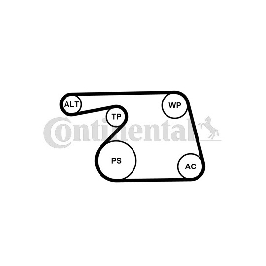 6PK1318WP1 - Veepump+ soonrihmakomplekt 