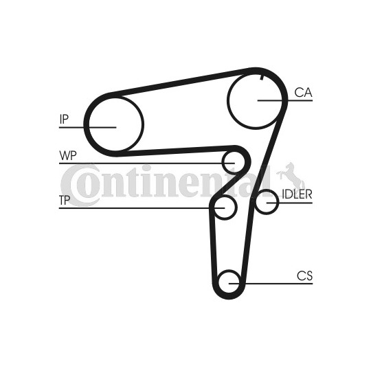 CT1076WP1 - Water Pump & Timing Belt Set 