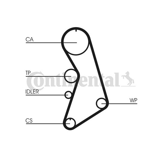 CT909WP5 - Water Pump & Timing Belt Set 