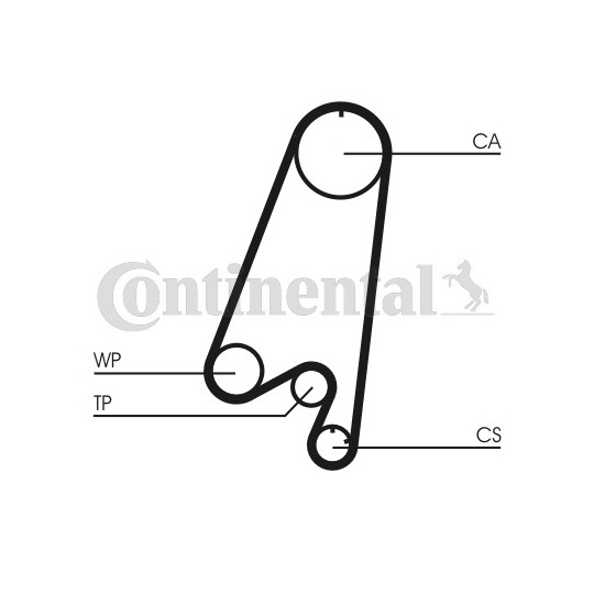 CT910WP1 - Water Pump & Timing Belt Set 