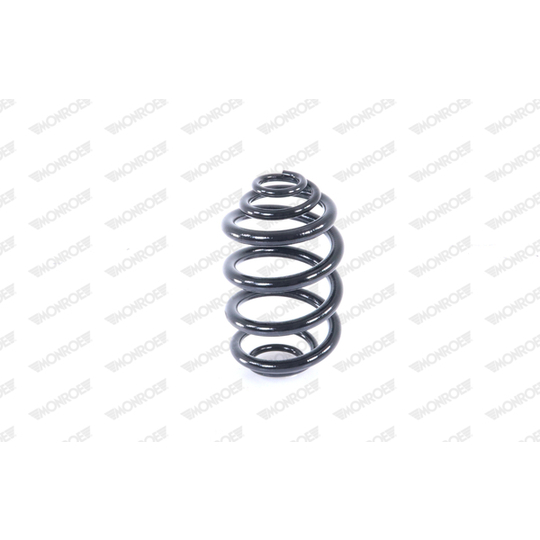 SN3619 - Coil Spring 