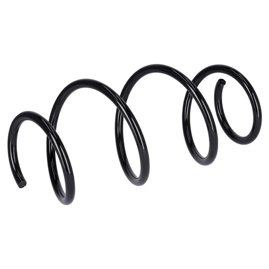 181319 - Coil Spring 