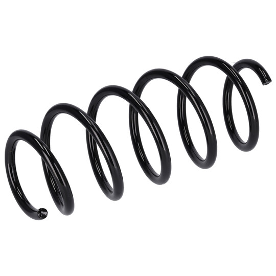 181301 - Coil Spring 