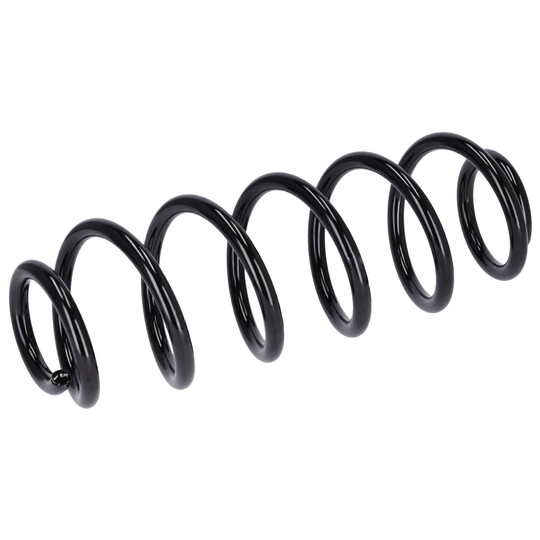 181303 - Coil Spring 