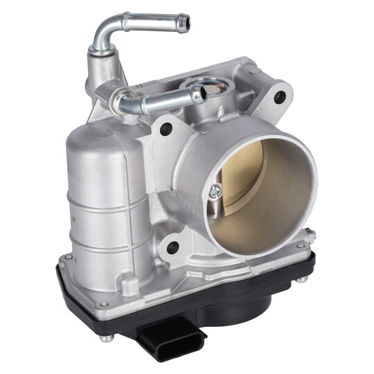 181841 - Throttle body 