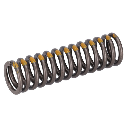 184680 - Valve Spring 