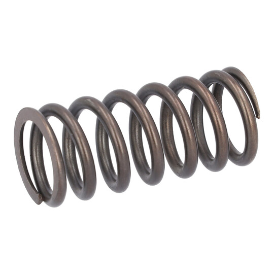 188166 - Valve Spring 