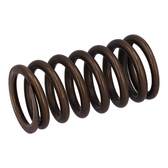 186521 - Valve Spring 