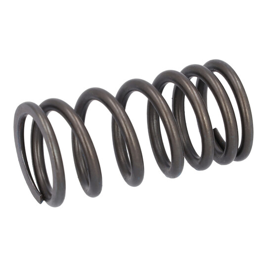 187757 - Valve Spring 