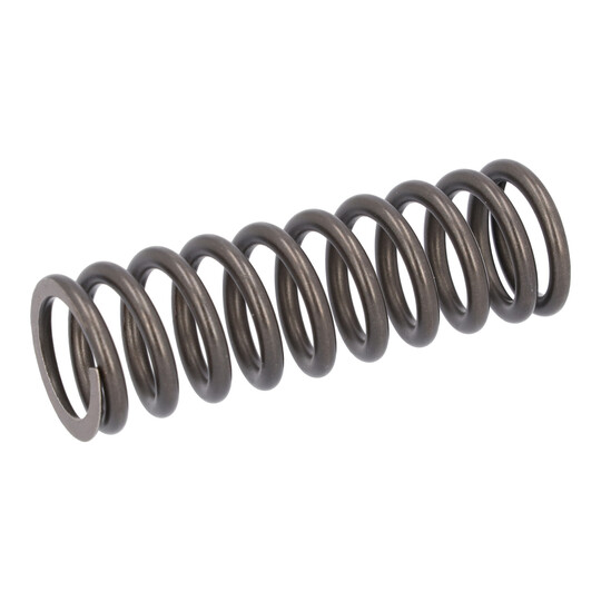 187753 - Valve Spring 