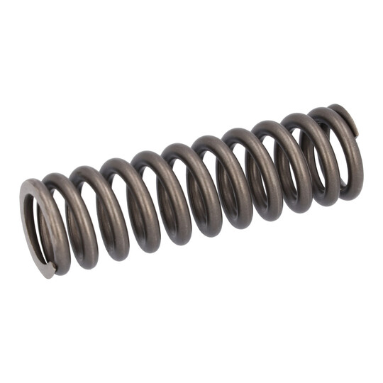 187754 - Valve Spring 