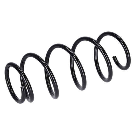 188202 - Coil Spring 