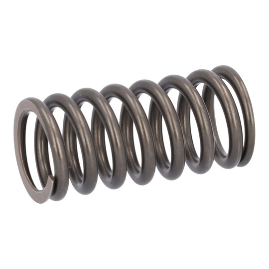 187734 - Valve Spring 