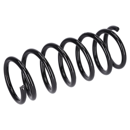 195071 - Coil Spring 