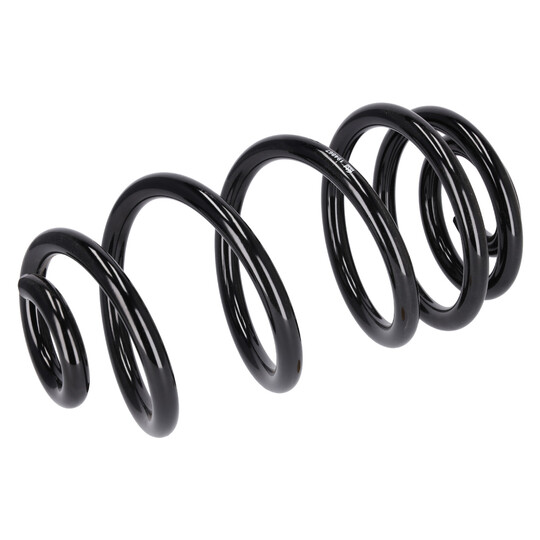 194867 - Coil Spring 