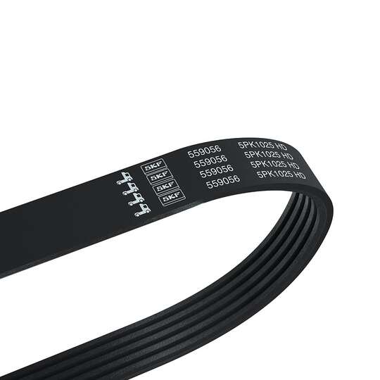 VKMV 5PK1025 HD - V-Ribbed Belt 