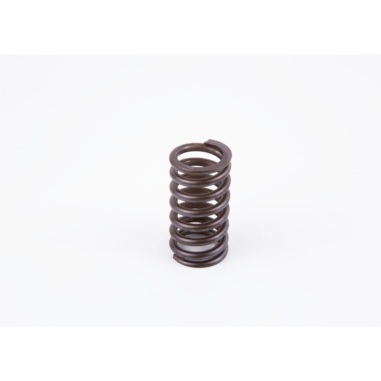 2 434 619 017 - Spring 