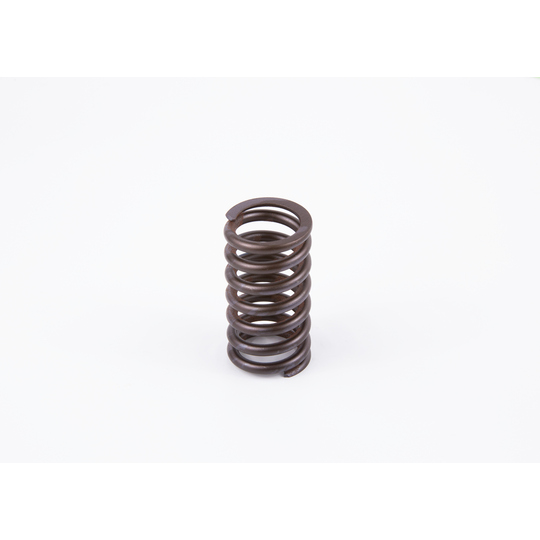 2 434 619 017 - Spring 