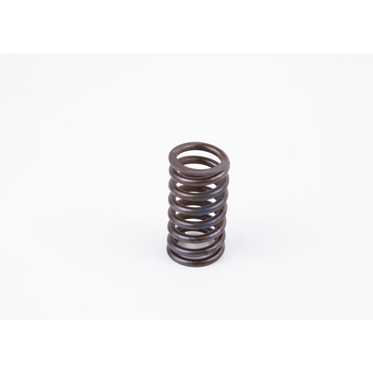 2 434 619 017 - Spring 