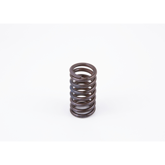 2 434 619 017 - Spring 