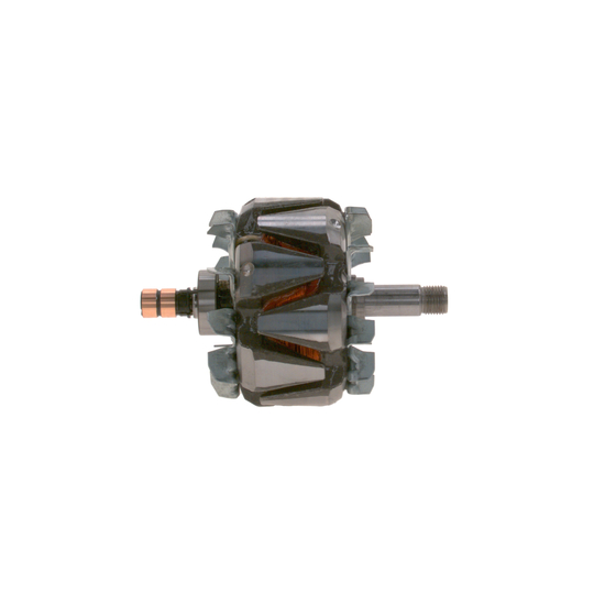 F 00M 131 658 - Rotor, alternator 