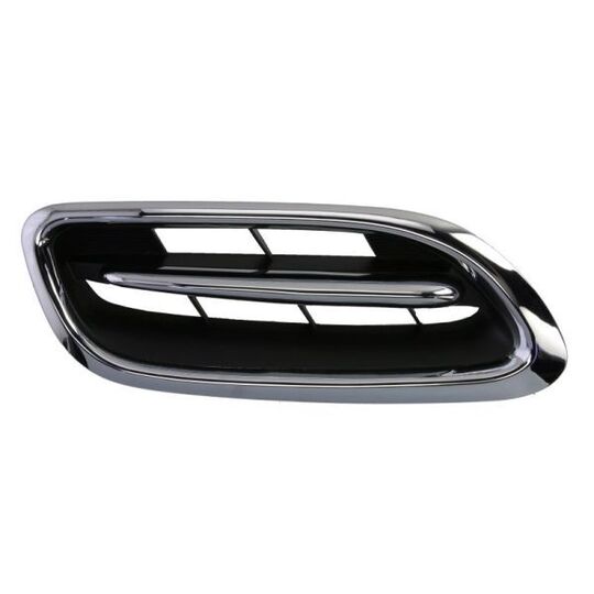 6502-07-1608998P - Radiator Grille 